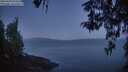 ./images/koeye/fitz-hugh/20260429/fitz-hugh20260429_053502M.jpg