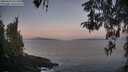 ./images/koeye/fitz-hugh/20260429/fitz-hugh20260429_061502M.jpg