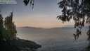 ./images/koeye/fitz-hugh/20260429/fitz-hugh20260429_062502M.jpg