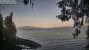 ./images/koeye/fitz-hugh/20260429/fitz-hugh20260429_064501M.jpg