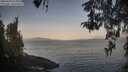 ./images/koeye/fitz-hugh/20260429/fitz-hugh20260429_065001M.jpg