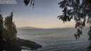 ./images/koeye/fitz-hugh/20260429/fitz-hugh20260429_065501M.jpg