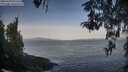 ./images/koeye/fitz-hugh/20260429/fitz-hugh20260429_073501M.jpg