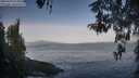 ./images/koeye/fitz-hugh/20260429/fitz-hugh20260429_075001M.jpg
