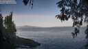 ./images/koeye/fitz-hugh/20260429/fitz-hugh20260429_075501M.jpg