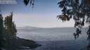 ./images/koeye/fitz-hugh/20260429/fitz-hugh20260429_080001M.jpg