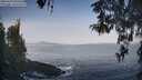 ./images/koeye/fitz-hugh/20260429/fitz-hugh20260429_080501M.jpg
