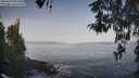 ./images/koeye/fitz-hugh/20260429/fitz-hugh20260429_082501M.jpg