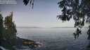 ./images/koeye/fitz-hugh/20260429/fitz-hugh20260429_083501M.jpg