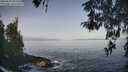 ./images/koeye/fitz-hugh/20260429/fitz-hugh20260429_084501M.jpg
