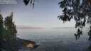 ./images/koeye/fitz-hugh/20260429/fitz-hugh20260429_085001M.jpg