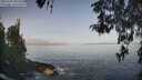 ./images/koeye/fitz-hugh/20260429/fitz-hugh20260429_085502M.jpg