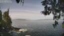 ./images/koeye/fitz-hugh/20260429/fitz-hugh20260429_104501M.jpg