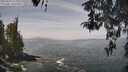 ./images/koeye/fitz-hugh/20260429/fitz-hugh20260429_114001M.jpg