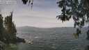 ./images/koeye/fitz-hugh/20260429/fitz-hugh20260429_124001M.jpg