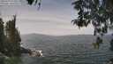 ./images/koeye/fitz-hugh/20260429/fitz-hugh20260429_124501M.jpg