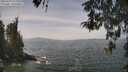 ./images/koeye/fitz-hugh/20260429/fitz-hugh20260429_125502M.jpg