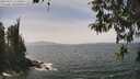 ./images/koeye/fitz-hugh/20260429/fitz-hugh20260429_134501M.jpg