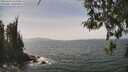 ./images/koeye/fitz-hugh/20260429/fitz-hugh20260429_135001M.jpg
