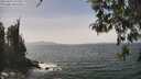 ./images/koeye/fitz-hugh/20260429/fitz-hugh20260429_135501M.jpg