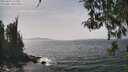 ./images/koeye/fitz-hugh/20260429/fitz-hugh20260429_142501M.jpg