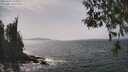 ./images/koeye/fitz-hugh/20260429/fitz-hugh20260429_144001M.jpg