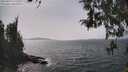 ./images/koeye/fitz-hugh/20260429/fitz-hugh20260429_145501M.jpg