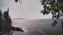 ./images/koeye/fitz-hugh/20260429/fitz-hugh20260429_153501M.jpg