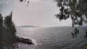./images/koeye/fitz-hugh/20260429/fitz-hugh20260429_154501M.jpg
