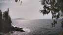 ./images/koeye/fitz-hugh/20260429/fitz-hugh20260429_155001M.jpg