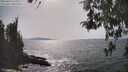 ./images/koeye/fitz-hugh/20260429/fitz-hugh20260429_160501M.jpg