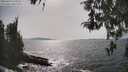 ./images/koeye/fitz-hugh/20260429/fitz-hugh20260429_161001M.jpg