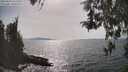 ./images/koeye/fitz-hugh/20260429/fitz-hugh20260429_161501M.jpg