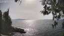 ./images/koeye/fitz-hugh/20260429/fitz-hugh20260429_163001M.jpg