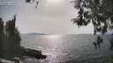 ./images/koeye/fitz-hugh/20260429/fitz-hugh20260429_163501M.jpg