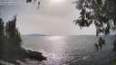 ./images/koeye/fitz-hugh/20260429/fitz-hugh20260429_164001M.jpg