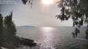 ./images/koeye/fitz-hugh/20260429/fitz-hugh20260429_171001M.jpg