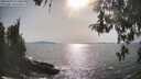 ./images/koeye/fitz-hugh/20260429/fitz-hugh20260429_171502M.jpg