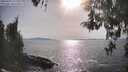 ./images/koeye/fitz-hugh/20260429/fitz-hugh20260429_172001M.jpg