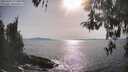 ./images/koeye/fitz-hugh/20260429/fitz-hugh20260429_172502M.jpg