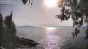 ./images/koeye/fitz-hugh/20260429/fitz-hugh20260429_173002M.jpg