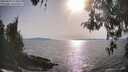 ./images/koeye/fitz-hugh/20260429/fitz-hugh20260429_174001M.jpg