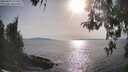 ./images/koeye/fitz-hugh/20260429/fitz-hugh20260429_174501M.jpg