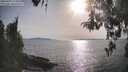 ./images/koeye/fitz-hugh/20260429/fitz-hugh20260429_175001M.jpg