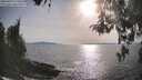 ./images/koeye/fitz-hugh/20260429/fitz-hugh20260429_175502M.jpg