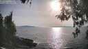 ./images/koeye/fitz-hugh/20260429/fitz-hugh20260429_180001M.jpg
