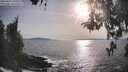 ./images/koeye/fitz-hugh/20260429/fitz-hugh20260429_180501M.jpg