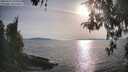 ./images/koeye/fitz-hugh/20260429/fitz-hugh20260429_181001M.jpg