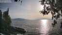 ./images/koeye/fitz-hugh/20260429/fitz-hugh20260429_183501M.jpg