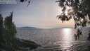 ./images/koeye/fitz-hugh/20260429/fitz-hugh20260429_185001M.jpg